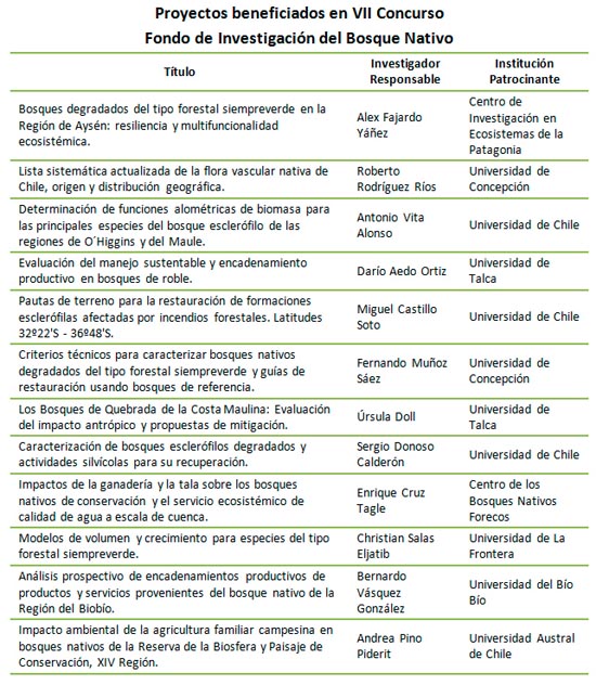 proyectos-viicfibn